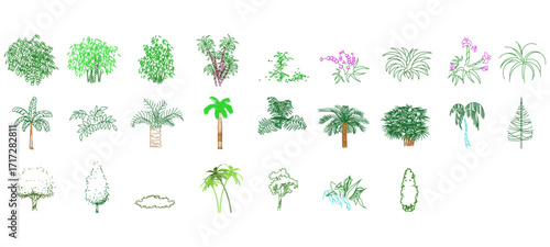 front View Vector Icons of Trees and Plants for Floor Plan and Architectural Design Projects	