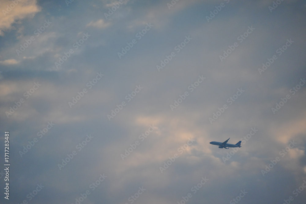 Fototapeta premium airplane flying in the sky