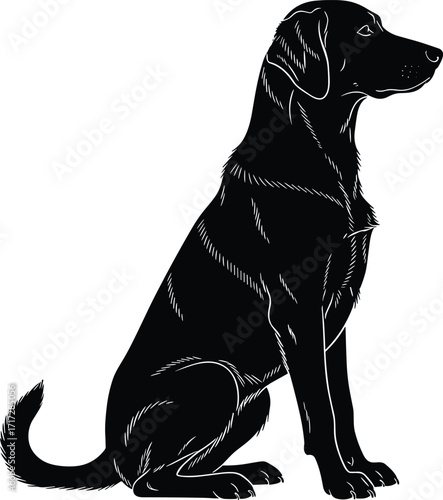 Silhouette of sitting dog in profile view, black vector illustration with fur texture, calm posture, pet anatomy, breed reference design