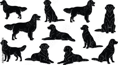 Silhouettes of eleven dogs in realistic poses and actions, black vector illustration for pet anatomy, behavior, breed reference, and design