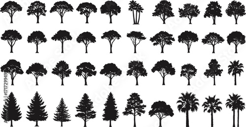 Tree Silhouette Grid Featuring Palm, Coniferous, and Broadleaf Species in Vector Format for Nature, Landscape, Botanical, Seasonal, and Artistic Design