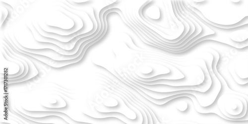 Abstract Luxury diamond creative topography map background vector natural shadow papercut web topography map spiral line. white light dynamic smooth cover origami papercut texture background.	