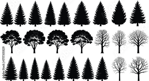 Vector Silhouettes of Coniferous, Leafy, and Leafless Trees in Seasonal Rows for Nature Design, Forest Art, and Botanical Illustration Use