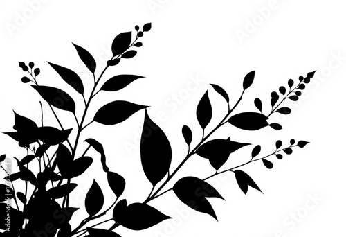 Elegant black silhouette botanical foliage on white background, illustration, black