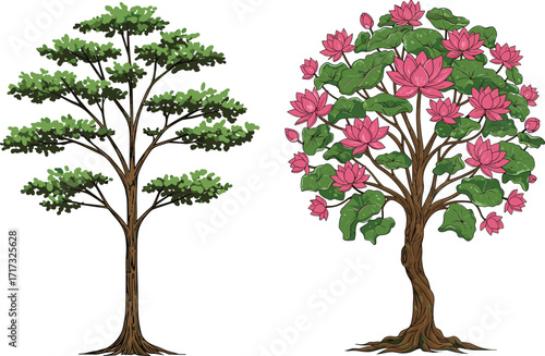 Sparse green tree and pink flowering tree illustration with foliage contrast, botanical nature concept for seasonal vector design and landscape artwork