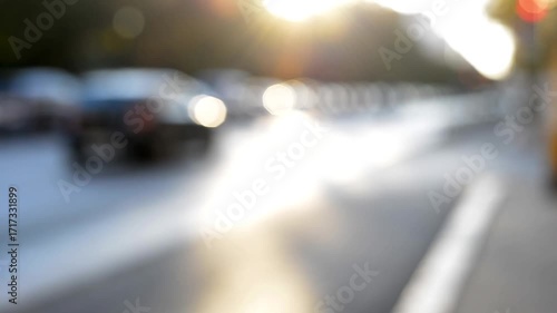 people walking in the city