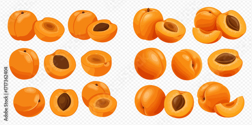 Illustration of whole, halved, and sliced ripe apricots, showcasing the fruit's vibrant orange color and texture.