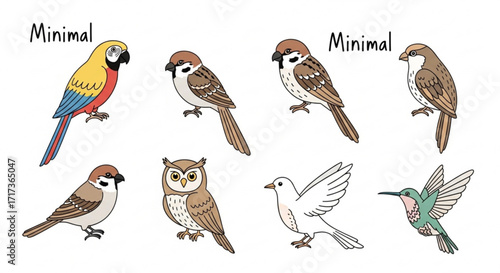 Illustration of various birds including a parrot, sparrows, owl, dove, and hummingbird in a row created with generated ai