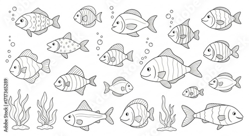 Illustration of various outlined fish species with bubbles and seaweed on a white background design created with generated ai