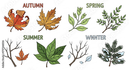 Illustration showing the four seasons with leaves and branches representing each season of the year created with generated ai