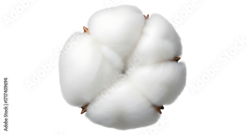 A close-up, top-down view of a fluffy, white cotton boll against a stark white background, showcasing its soft texture and natural form.