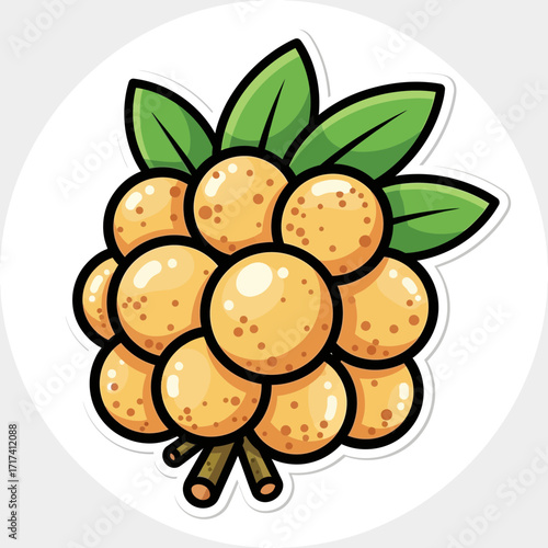 Cartoon illustration of a bunch of longan fruit with green leaves on white.