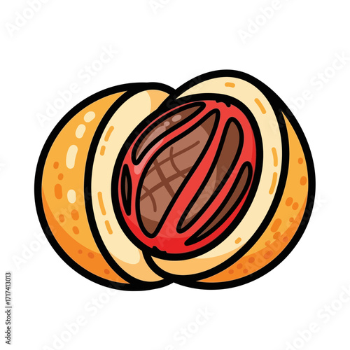 Cartoon drawing of a nutmeg seed cut in half on white background.