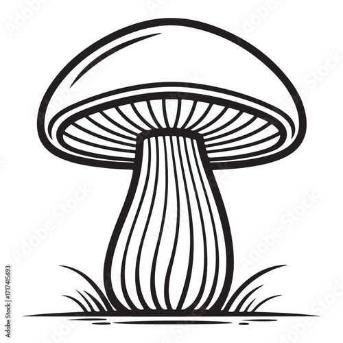 mushroom vector illustration