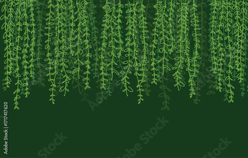 fresh nature curtain creeper illustration on green background.eps