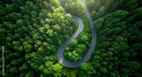 Aerial view of winding road through green forest