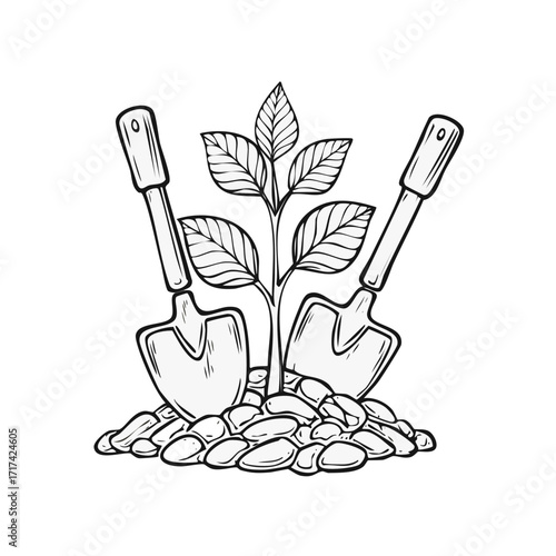 Seedling plant sprouts with garden trowels and stones for cultivation and growth concept
