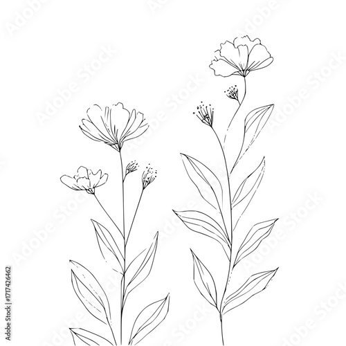 Two floral stems with delicate flowers and leaves in a simple black and white line drawing style design