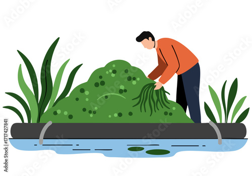 A man inspects algae in a wetland. Detailed illustration showcases a natural setting with aquatic plants. Clean, modern style.