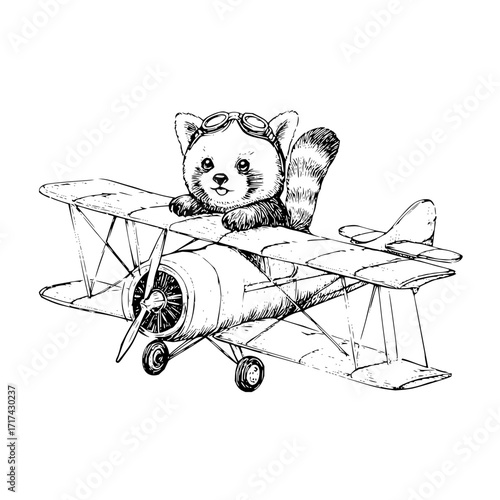 A red panda wearing goggles piloting an old biplane in a vintage sketch style illustration art