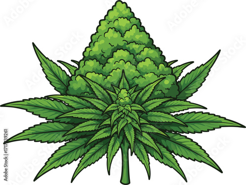 Cannabis marijuana bud illustration, organic hemp plant artwork, natural weed leaf drawing, medical herb design, green sativa indica kush graphic