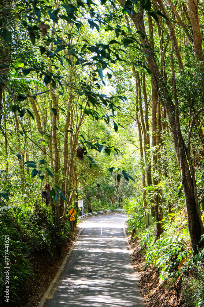 Naklejka premium Maleny, Mountville - Sunshine coast hinterland, QLD