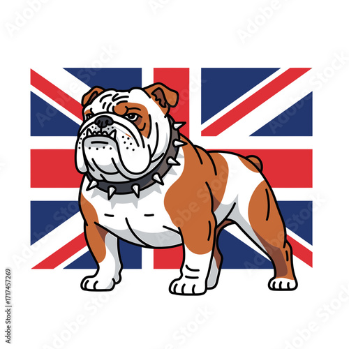 Cartoon Bulldog with Spiked Collar Standing Before a Union Jack Flag