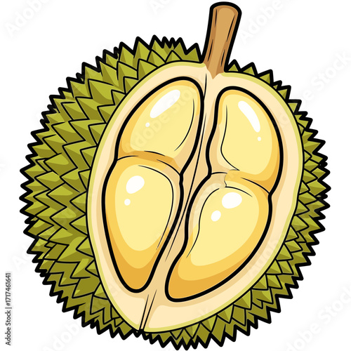 Cut durian fruit with yellow flesh and spiky green outer shell.