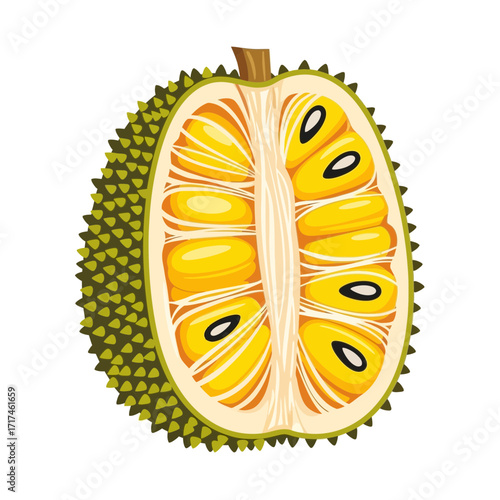 Cut jackfruit illustration showing yellow pulp and seeds on a white background.