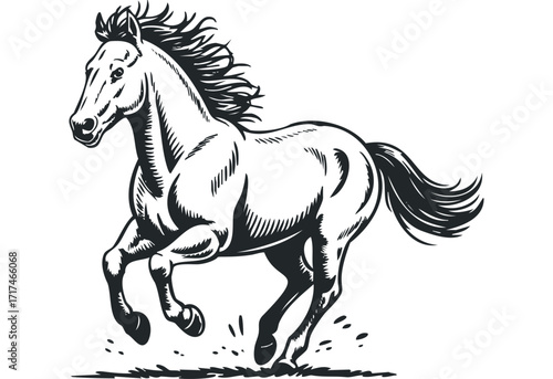 Running horse with flowing mane and tail. Vector hand drawn illustration