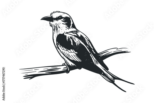 Bird perched on branch woodcut style. Vector hand drawn illustration