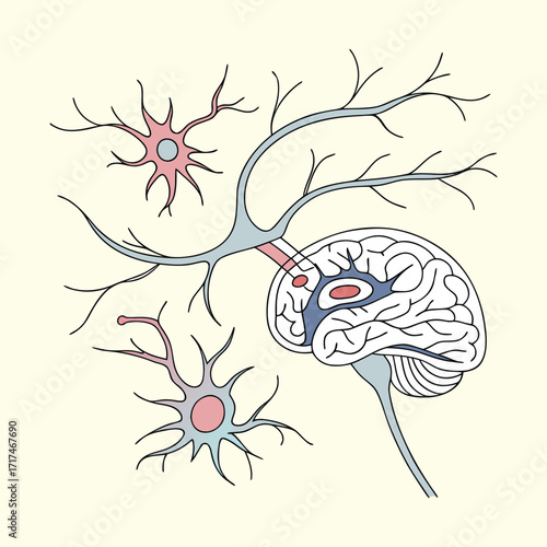 Detailed illustration of the human brain with neurons and synapses, symbolizing neuroscience, intelligence, and cognitive function