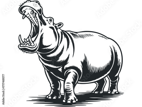 Ferocious hippopotamus opens mouth wide showing large teeth and tusks. Vector hand drawn illustration