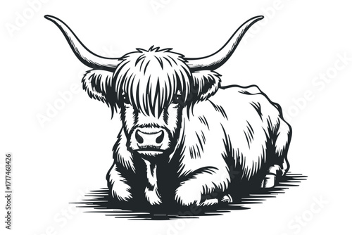 Highland Cow with Long Horns Lying Down on Ground. Vector hand drawn illustration