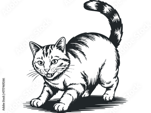 Playful Tabby Cat Pouncing with Tail Up. Vector hand drawn illustration