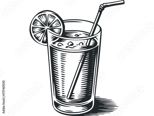 Refreshing drink with citrus slice and straw. Vector hand drawn illustration