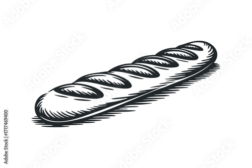 Line art of a long loaf of bread. Vector hand drawn illustration