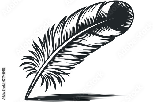 Quill pen with detailed feathers casting a shadow. Vector hand drawn illustration