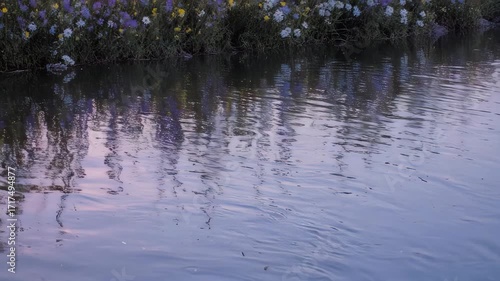 Water reflecting a floral bank at dusk