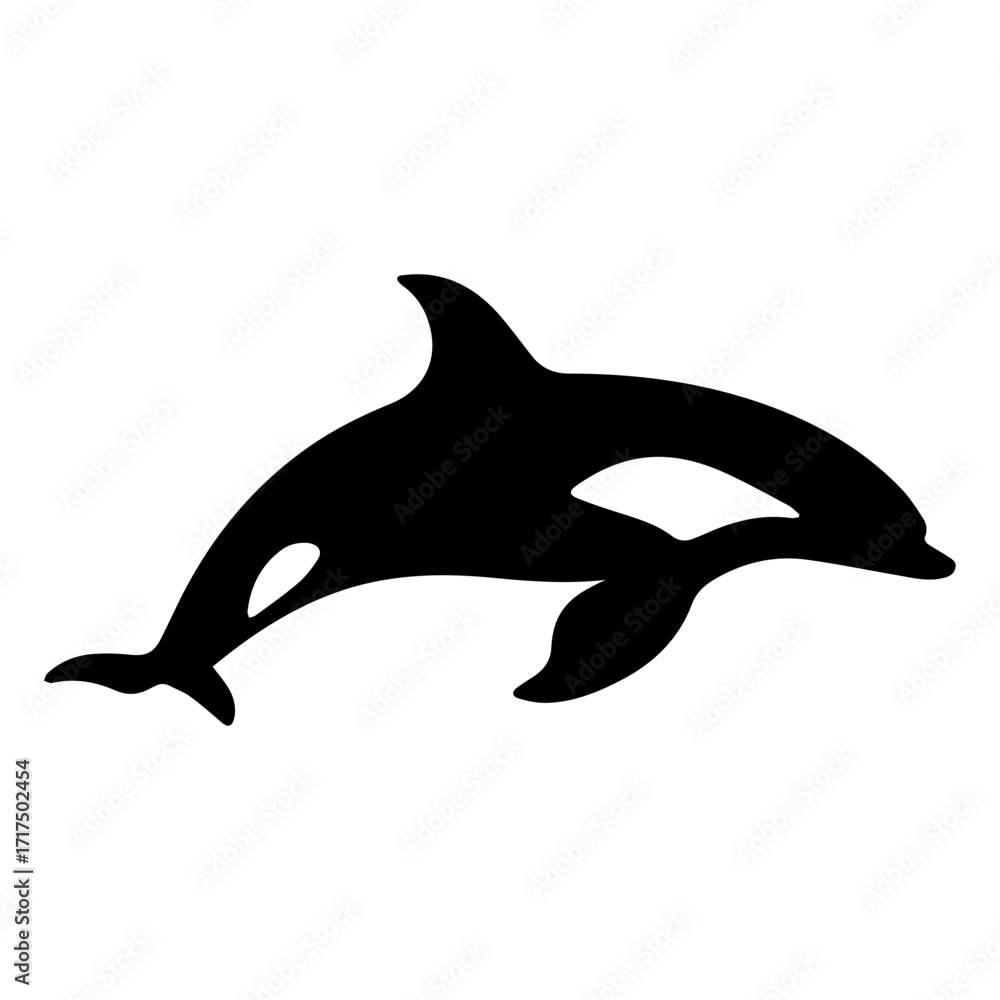 Fototapeta premium Silhouette of a killer whale swimming gracefully in the ocean with its tail fin visible and dorsal fin up
