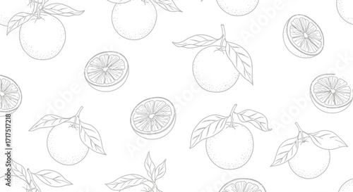 Elegant seamless pattern with hand-drawn oranges and citrus leaves in a minimalist black and white line art style