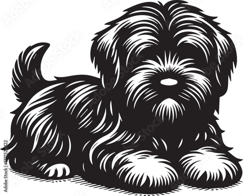 Briard Dog in Black and White – Elegant French Herding Breed Photography