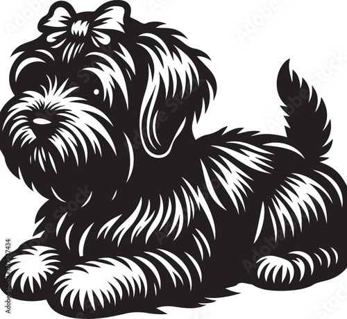 Briard Dog in Black and White – Elegant French Herding Breed Photography