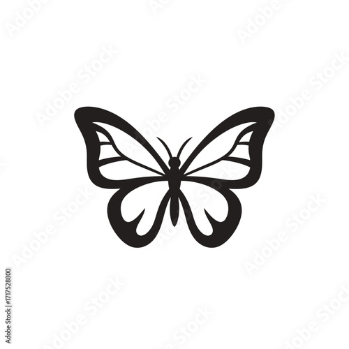 Elegant black and white butterfly illustration with detailed wing patterns