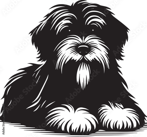 Briard Dog in Black and White – Elegant French Herding Breed Photography