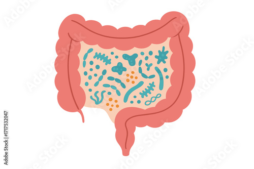 Gut microbiome concept. Human intestines with healthy microbiota. Probiotic bacteria inside. Digestive system flora. Medicine vector illustration for gut health and digestion.