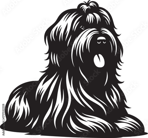 Briard Dog in Black and White – Elegant French Herding Breed Photography