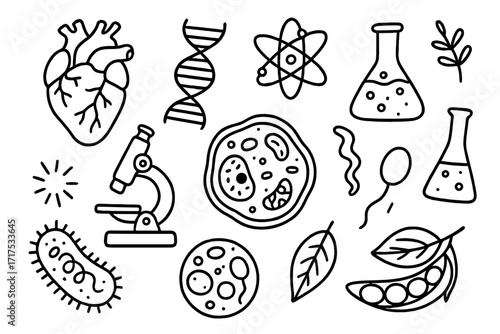 Sustainable development doodle concept with biology, science, environment icons. Vector cartoon illustration with microscope, DNA, cells, heart, leaves, lab flasks, bacteria, and pea pod set