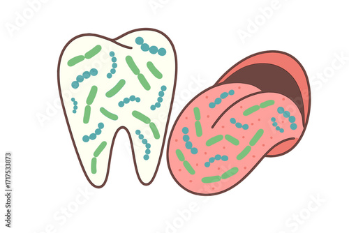 Oral microbiome concept. Healthy probiotic bacteria in human mouth. Tooth and tongue microbiota. Lactobacillus, streptococcus. Dental health, hygiene, microbiology vector.