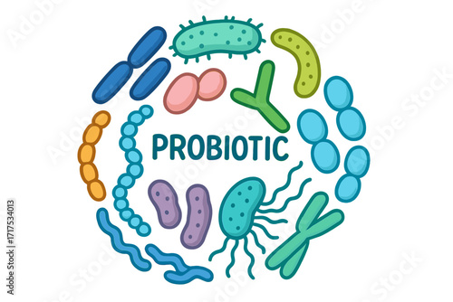 Probiotic bacteria vector set. Gut microbiota and microbiome concept. Healthy prebiotic food supplement with lactobacillus, bifidobacteria for digestion and immune system.